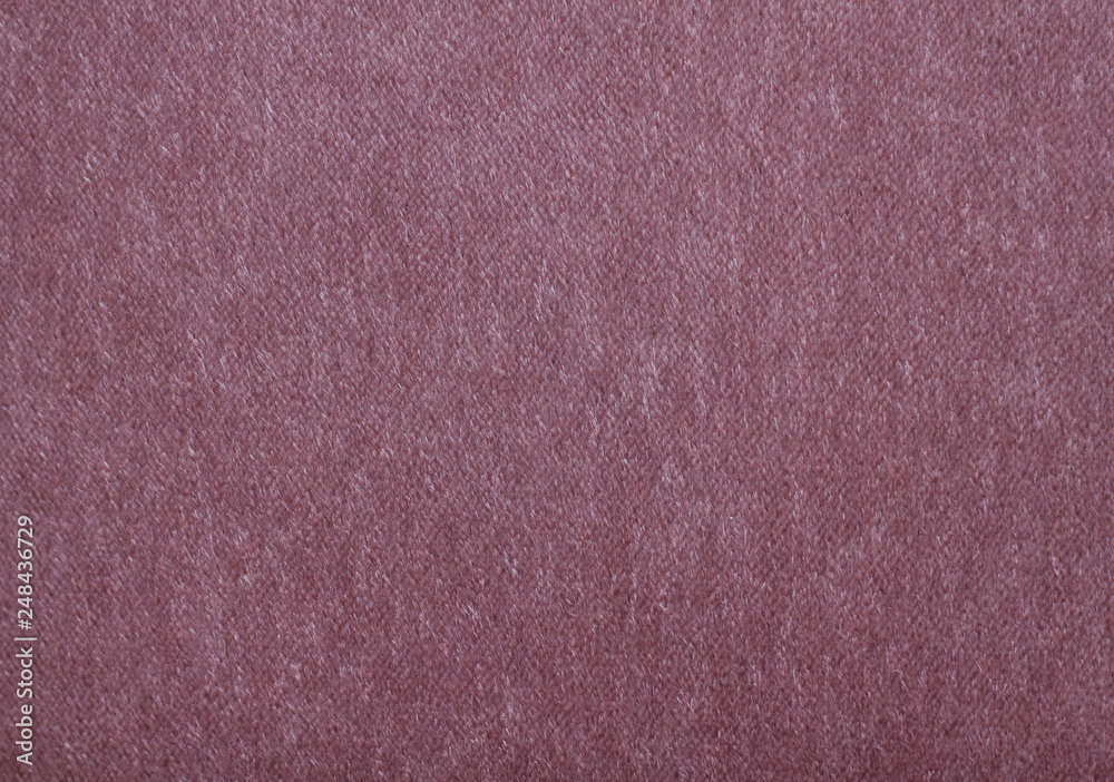 Fototapeta premium velvet rose texture