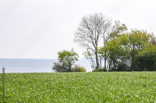 Lübecker Bucht