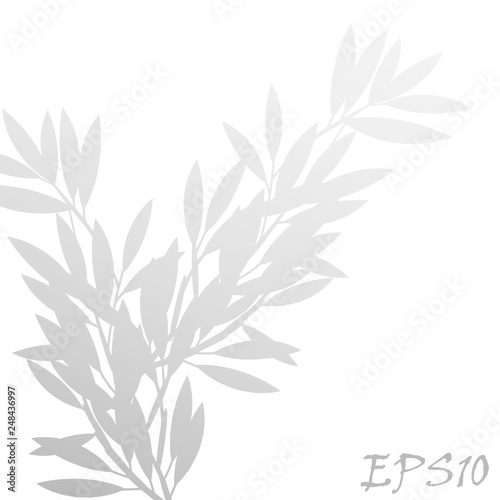 Vector abstract gray shadow background of natural leaves tree branch 