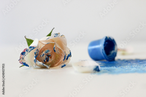 On a white sheet of paper there is a jar with blue paint and a rose flower stained blue. Part of the sheet is painted blue.  Background blur. Creativity.