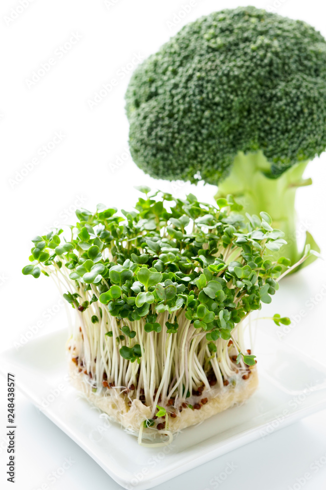 ブロッコリーとブロッコリースプラウト Stock Photo Adobe Stock