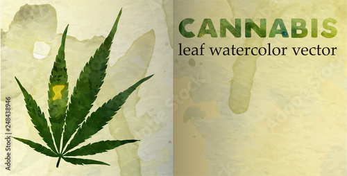Marijuana leaf on the old watercolor paper. vector image
