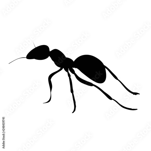 ant silhouette, insect, isolated