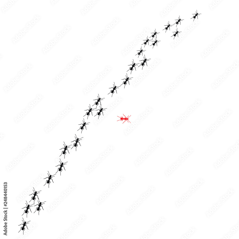 silhouette of ant colony, isolated silhouette of ant colony, isolated