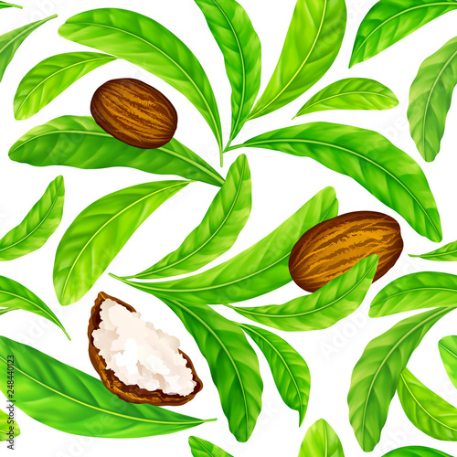 Shea nuts with leaves in vector pattern. Vector seamless pattern of shea nuts with shea butter and green leaves isolated on a white.