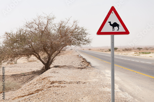 Big nice road sign attention camels