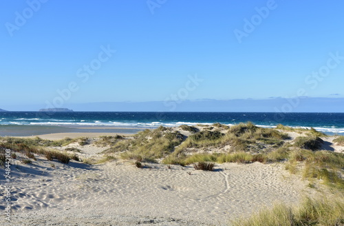 Wild beach with sand dunes and grass. Blue sea with waves and white foam  clear sky  sunny day. Galicia  Coru  a Province  Spain.