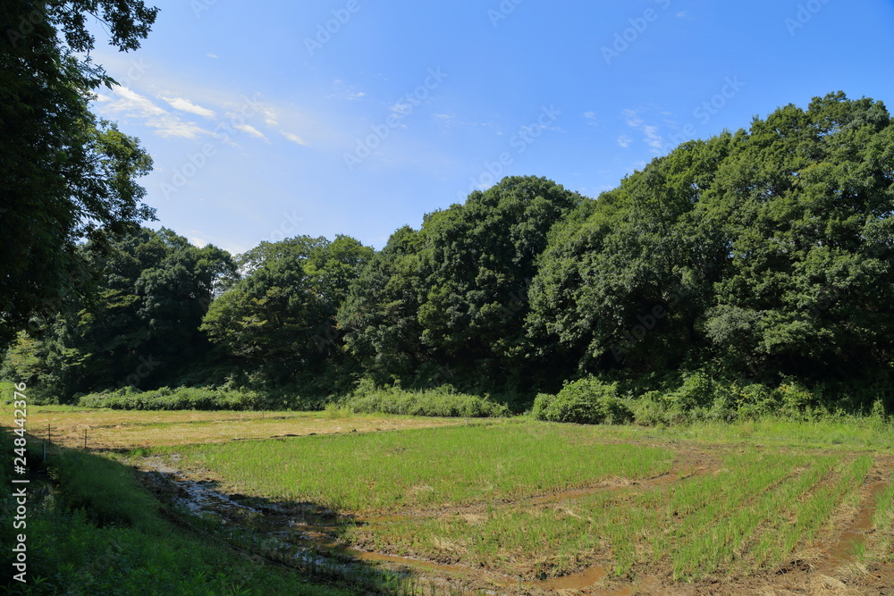日本の田舎の風景 日本の田舎の風景