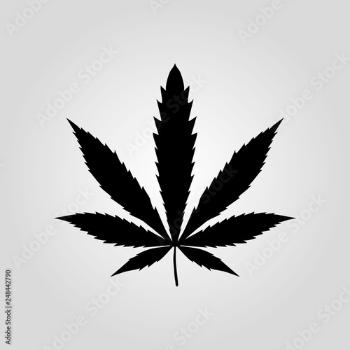 Vector cannabis leaf silhouette on white background Marijuana