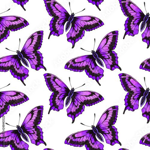 Butterflies moths insects animals fly. Seamless pattern with bytterflies photo
