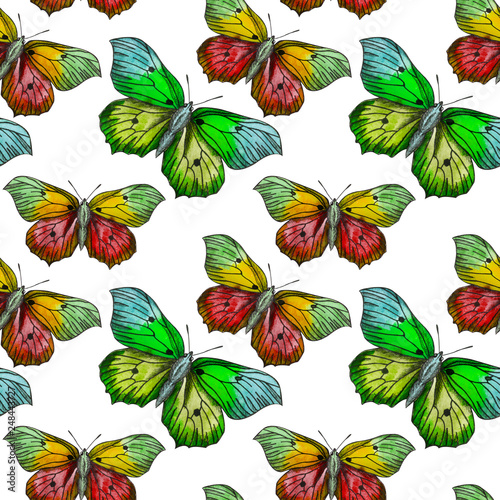 Butterflies moths insects animals fly. Seamless pattern with bytterflies