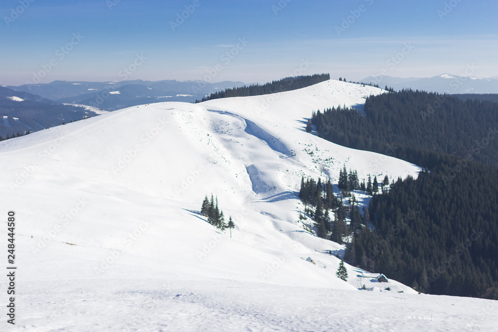 Snow-capped mountains and hills. Mountains Carpathians in Ukraine. Winter mountain landscape. Mountain Bukovel. Panorama from the top of the mountain. Freeride ski slope. Skiing and snowboarding.