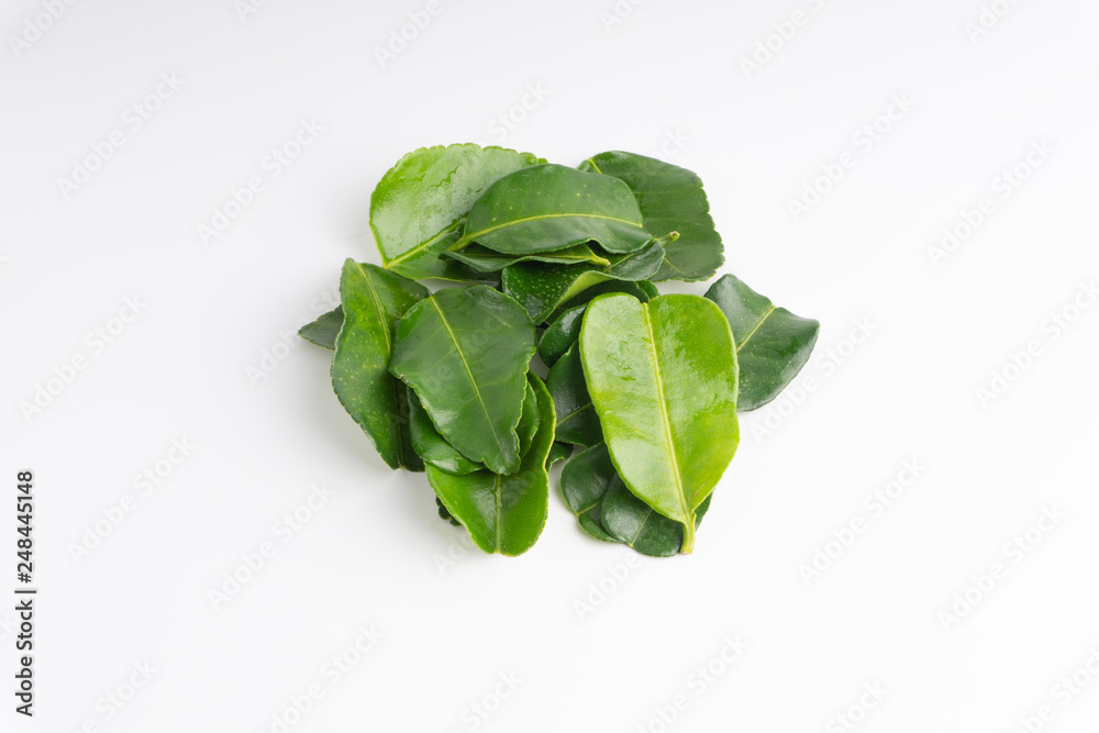 Kaffir lime leaf (Daun limau purut) isolated on white background Kaffir lime leaf (Daun limau purut) isolated on white background