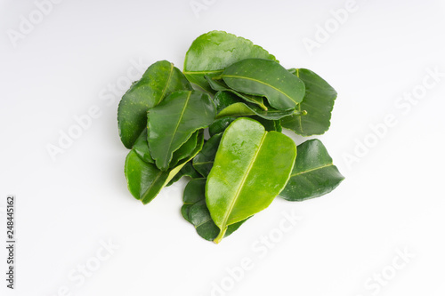 Kaffir lime leaf (Daun limau purut) isolated on white background