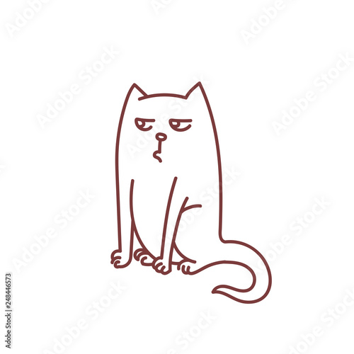 Not impressed cat