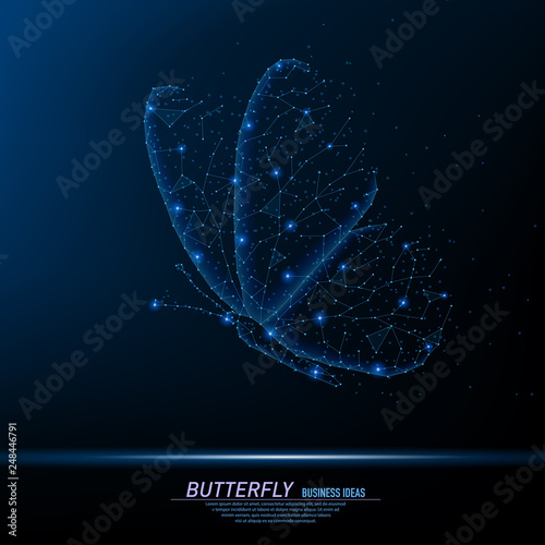 Abstract polygonal light of closeup butterfly