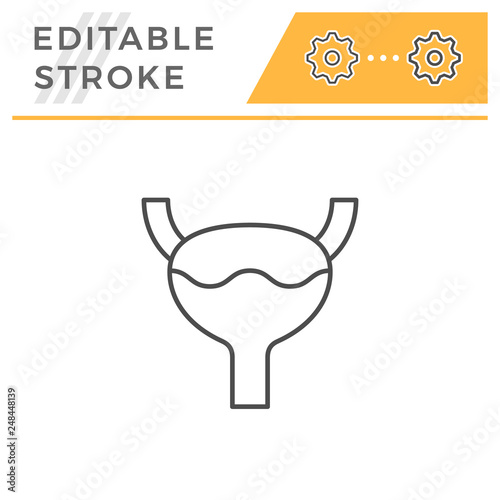Bladder line icon