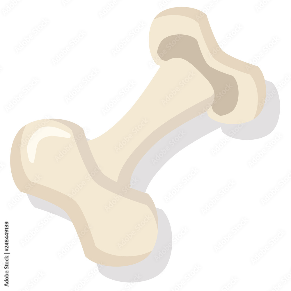 Fototapeta premium Bone flat illustration