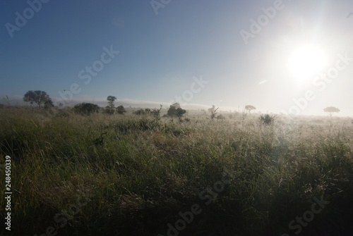 South Africa landscape