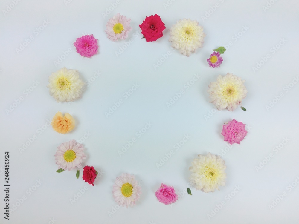 Many flowers with white background Many flowers with white background
