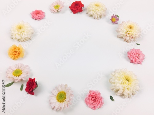 Many flowers with white background