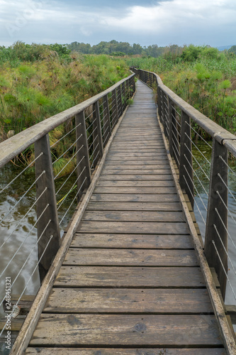 Elevated footpath in the Hula Nature Reserve