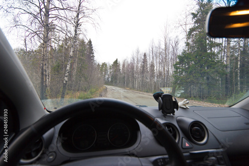 view from the driver's seat of the car to the forest road © Alexey