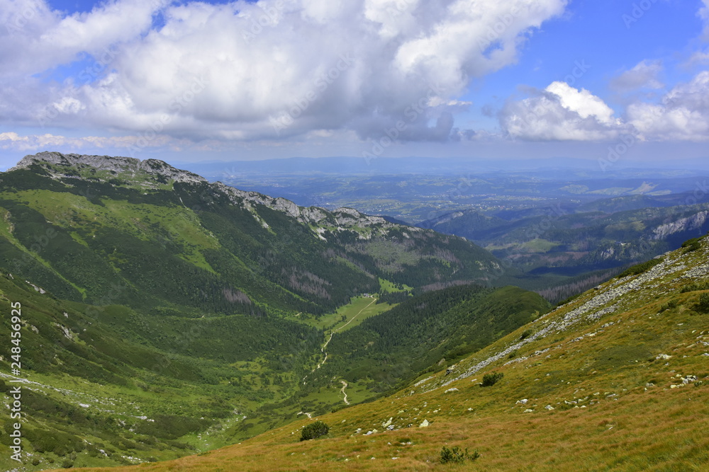 Dolina Kondratowa, Tatrzański Park Narodowy, Lato w Tatrach 