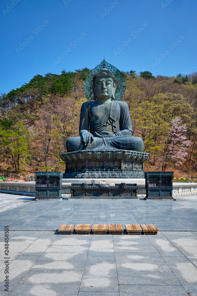 The Great Unification Buddha Tongil Daebul statue in Seoraksan National Park, South Korea. The Great Unification Buddha Tongil Daebul statue in Seoraksan National Park, South Korea.