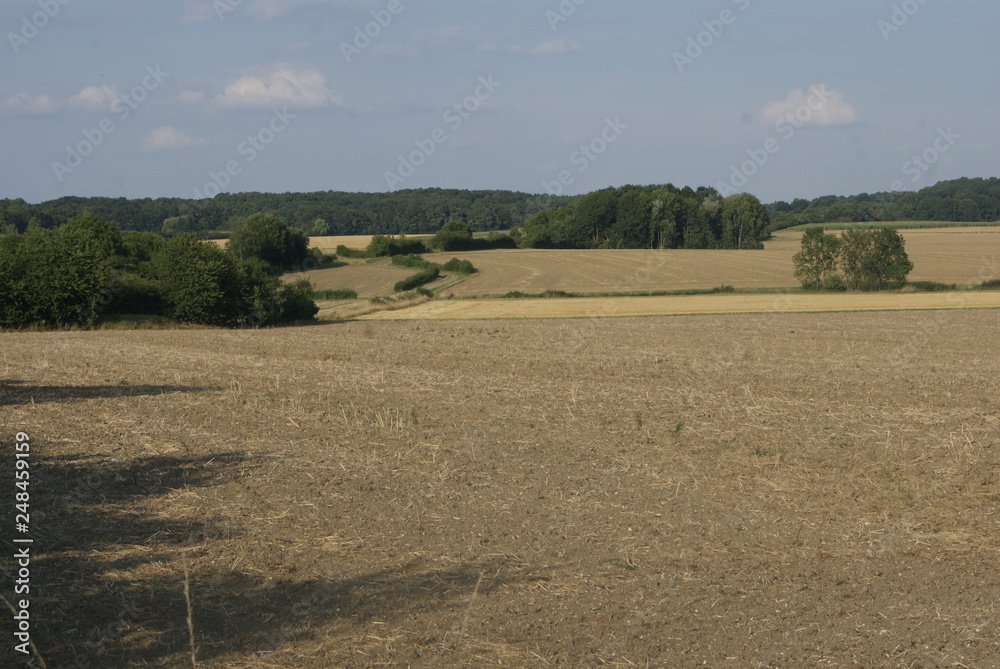 Obraz premium paysage . yonne