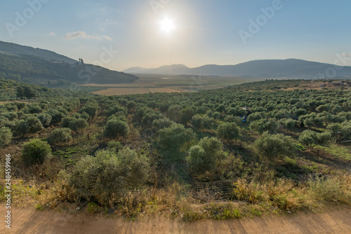 Landscape and countryside in the Netofa valley