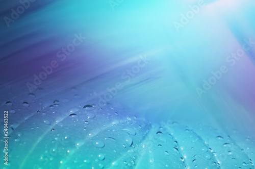 Leaf with raindrops on blue and purple background.