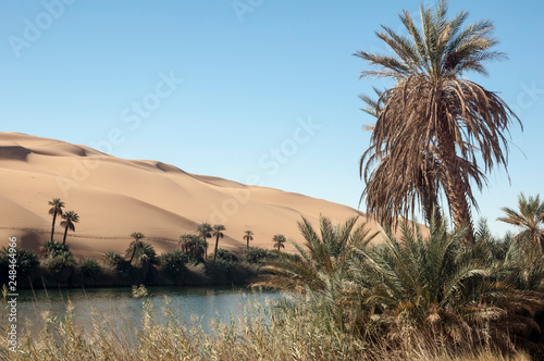 Ubari oasi in the Sahara desert  Fezzan  Libya  Africa