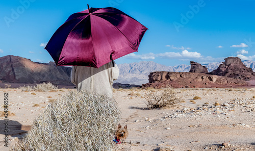 Geological formation in Timna park, Israel. It is located 25 km north of Eila...