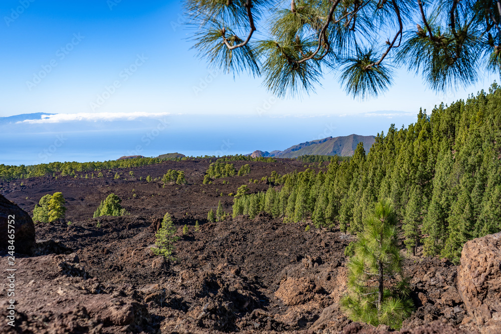 landscape on island of tenerife with sea and desert landscape on island of tenerife with sea and desert