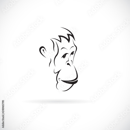 Vector of an orangutan face design on white background. Wild Animals. Orangutan logo or icon. Easy editable layered vector illustration.