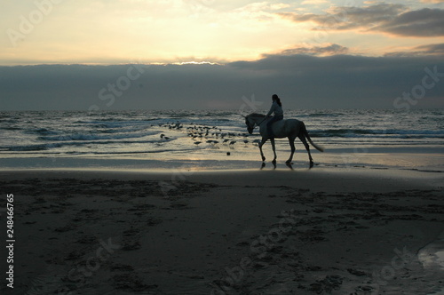 Girl riding horse on the beach at sunset. Horsewoman on the sea