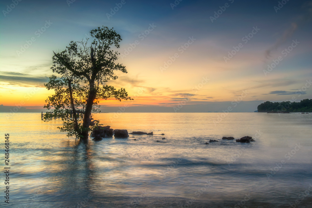 Wave hit the rock fog clouded the water stone the exposure twilight in the sea. beautiful sea rocks. 