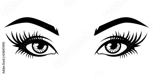 Illustration of woman's sexy luxurious eye with eyebrows and full lashes. Idea for business visit card, typography vector.