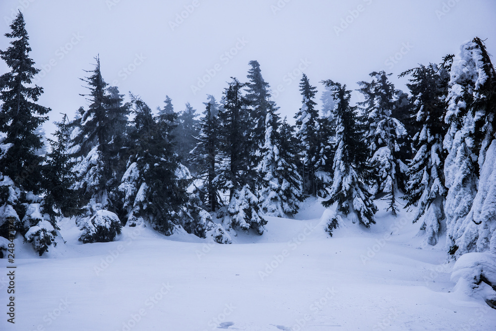 winter in the Giant Mountains, Karkonosze, Krkonose in Karkonoski National Parknear Karpacz