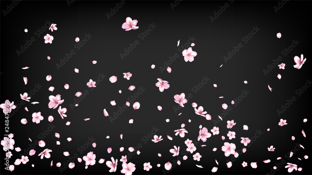 Nice Sakura Blossom Isolated Vector. Realistic Blowing 3d Petals Wedding Texture. Japanese Gradient Flowers Illustration. Valentine, Mother's Day Tender Nice Sakura Blossom Isolated on Black