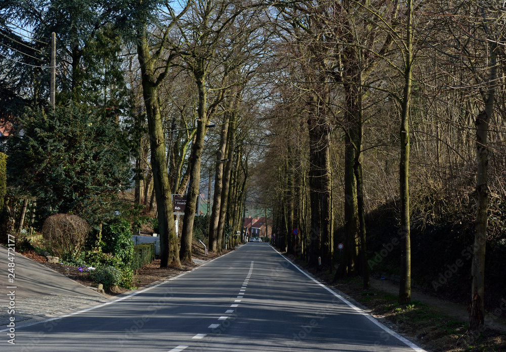 Fototapeta premium tiegemberg, cyclisme