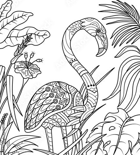 Flamingo in summer time coloring book