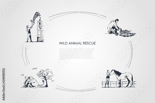 Wild animals rescue - people taking care of giraffe, horse, kangaroo, turtle vector concept set