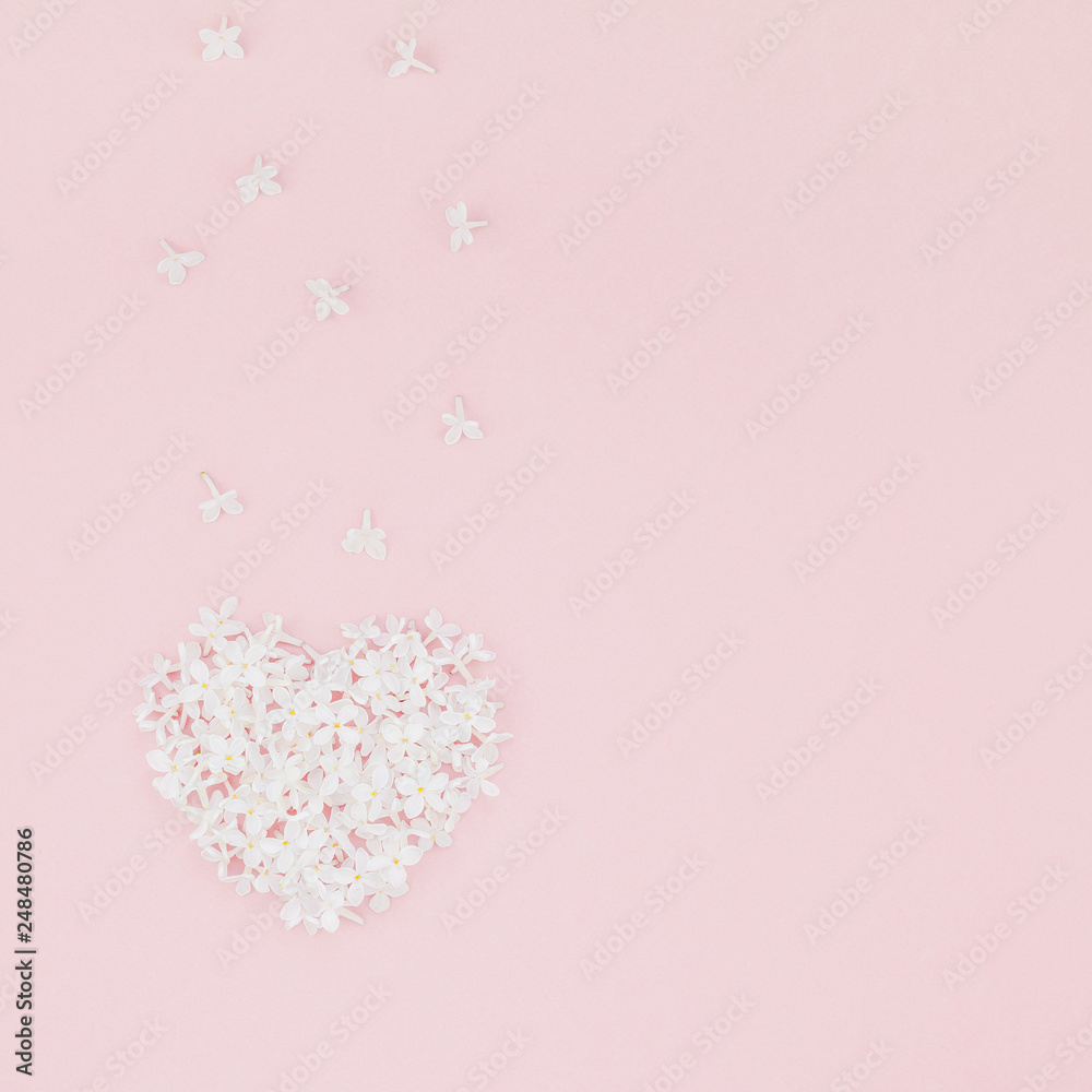 Pink background with white lilac flowers Pink background with white lilac flowers
