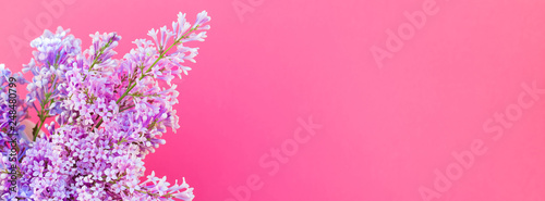 Pink background with lilac flowers