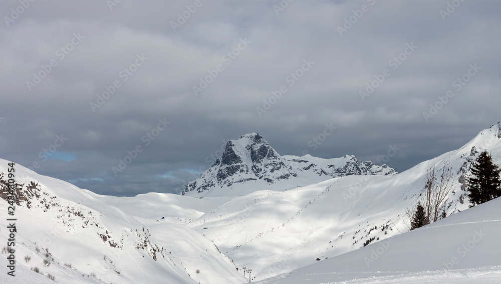 beautiful Alps mountain lanscape fir trees and rocks under snow