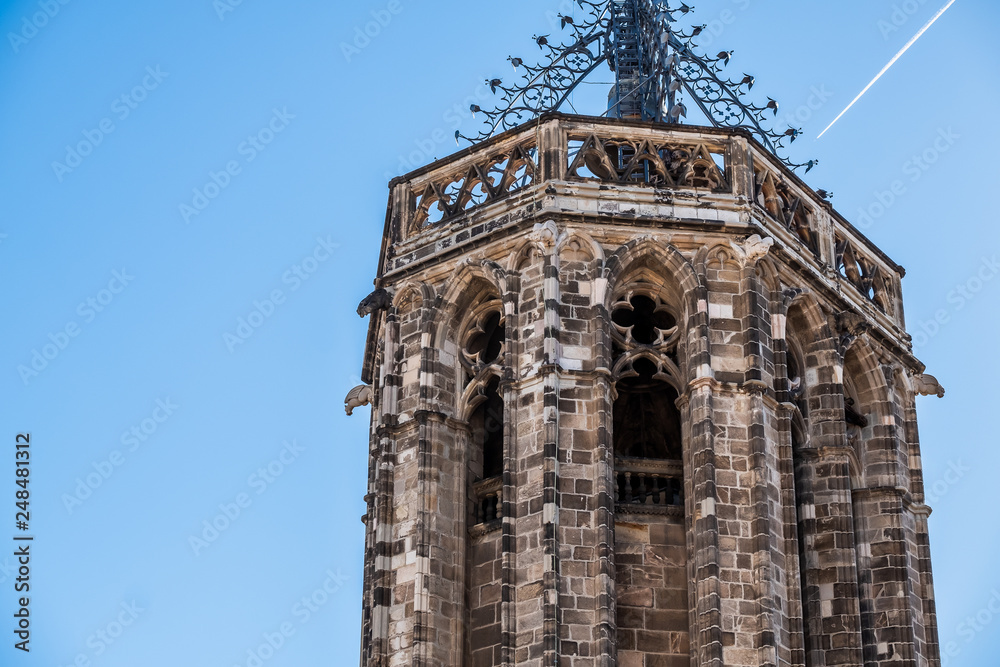 Obraz premium Détail d'architecture vue sur le toit de la cathédrale Sainte Croix de Barcelone