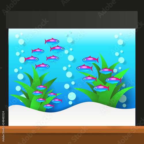 Cartoon Freshwater Fishes In Tank Aquarium Vector Illustration. Exotic Cartoon Fish In Aquarium.