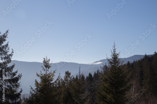 Spring lanscape in the forest Carpathian mountains near Yaremche